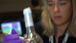 CSI EXPERIENCE