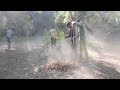 Green Campus, Clean Campus under special campaign 2.00
