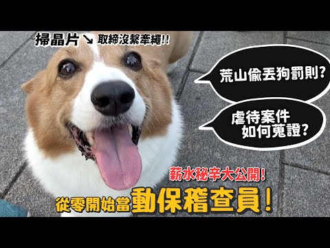 【從零開始當】動保稽查員!荒山偷丟狗的罰則?虐待案件如何蒐證?薪水秘辛大公開!【許伯簡芝】