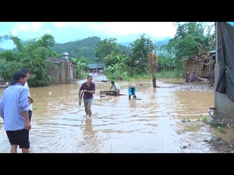 Video Mưa to gây nhiều thiệt hại tại huyện Vị Xuyên, Hà Giang - youtube
