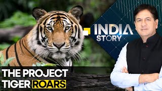 India Tiger census: India now home to 75% of world's Tiger | The India Story