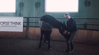 Horse Think ~ Training Before Schooling