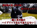 【週刊誌に騙されるな】羆とツキノワグマの交雑種という真っ赤な嘘!