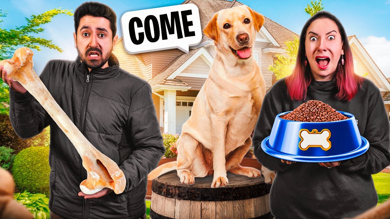 Nosso Cachorro Decide Quem Fará Coisas de Cachorro | Gabriel e Shirley 2.0