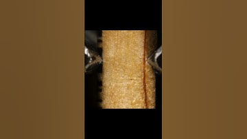 Pen Tip Under Extreme Zoom 🔍 | Satisfying Macro Details #shorts #macro #microscope #zoom #satisfying