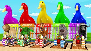 5 Giant Duck, Monkey, Piglet, chicken, dog, buffalo, Lion, Sheep, Transfiguration funny animal 2023