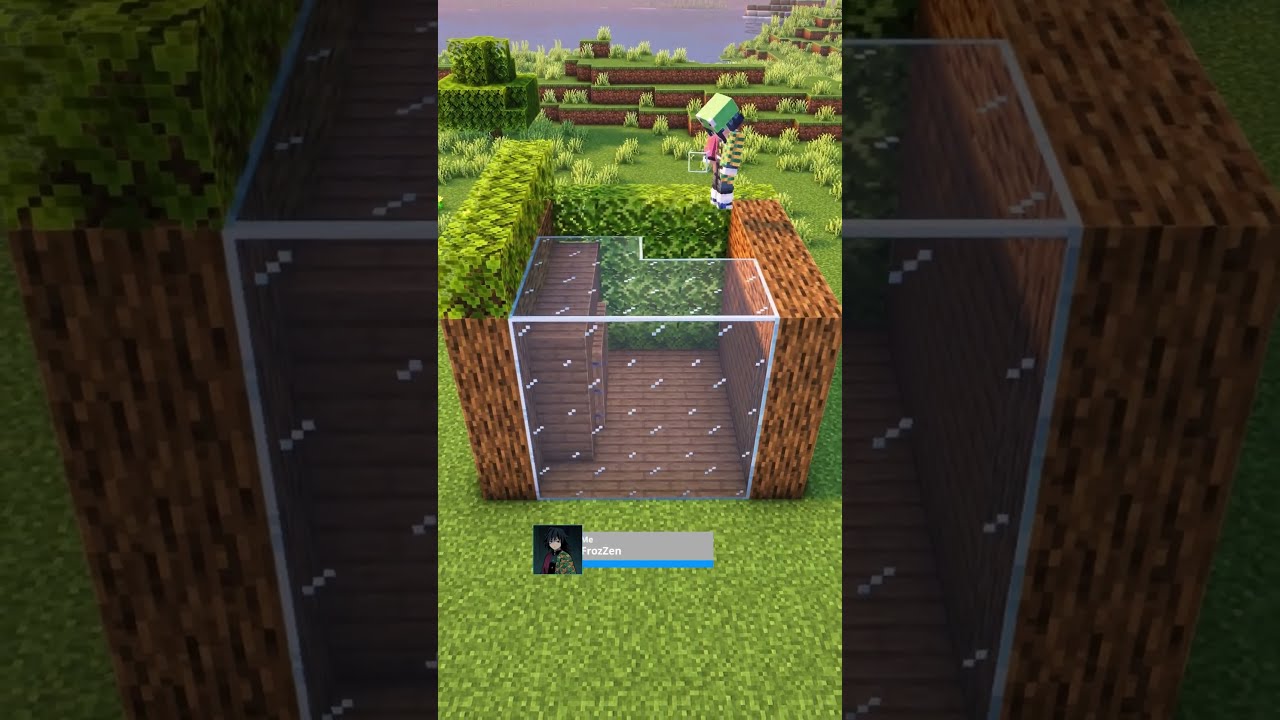 Minecraft Starter House