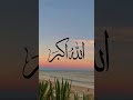Quran Urdu translation surah #youtubeshosts #quranictranslation #motivation #history #duet #quotes
