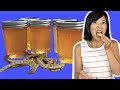 Poor Man's Honey - MESQUITE BEAN Jelly Recipe & Taste Test