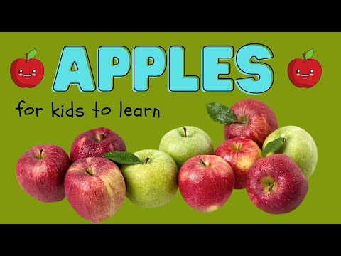 LEARN ABOUT APPLES | An Apple A Day Keeps The Doctor Away