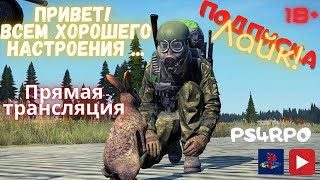 вечерний стрим Dayz rus server ps4