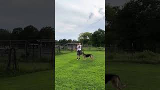 Kami fetching by Guesshaus 67 views 10 months ago 1 minute, 28 seconds