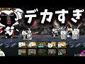 デカすぎる、、、【にゃんこ】