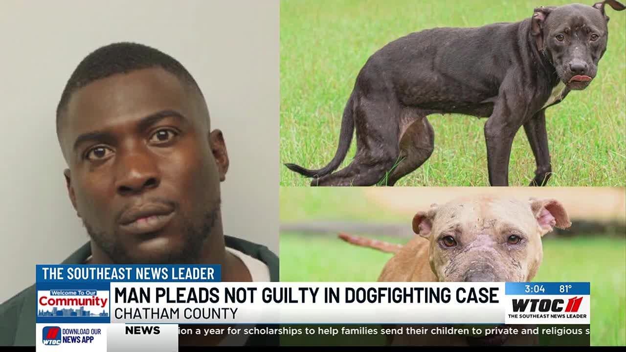Savannah dog fighting suspect pleads not guilty in court, murder ...
