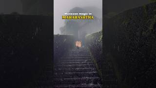 Maharashtra Monsoon Magic 🌧️ | Rainy Dreams &amp; Soulful Vibes#shorts #travelindia #exploreindia