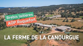 La ferme de Chanac en Lozère est idéale pour s'installer en élevage ovin !