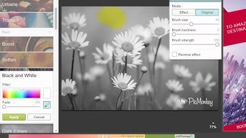 Picmonkey   Black and white