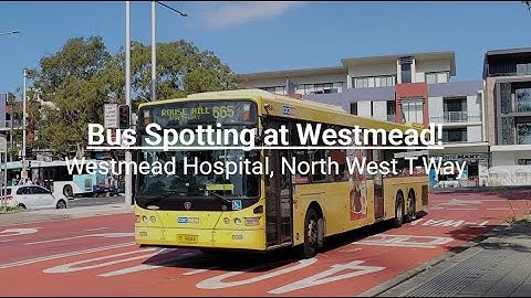 CDCNSW, Transit Systems - Bus Spotting at Westmead Hospital - North West T-Way