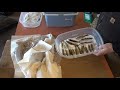 Step by Step How to Make Salted Minnows Bait for Boundary Waters Lake Trout Fishing