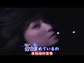 柏原芳恵 しなやかな夜をはさんだビスケット【中日歌詞】