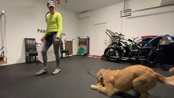 How To Build Reliability Within Your Down Command