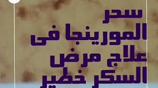 سحر المورينجا فى علاج مرض السكر وفوائدها العديدة الاخرى