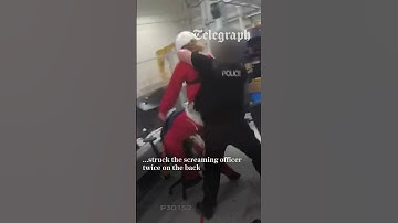 Palestine Action activist ‘broke police officer’s back with sledgehammer’