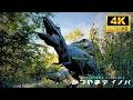 A forest full of dinosaurs? 🦖 A park in Fukui where you can experience the world of Jurassic World!