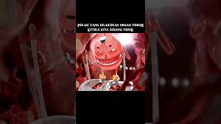 Inilah yang di lakukan organ tubuh, ketika kita sedang tidur #alurceritafim #film