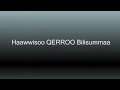 Oromiyaan Dhiigaa Kooti Bilisummaan Kaan Ummata Orommooti Wbo Abo Abdii Biyyaati
