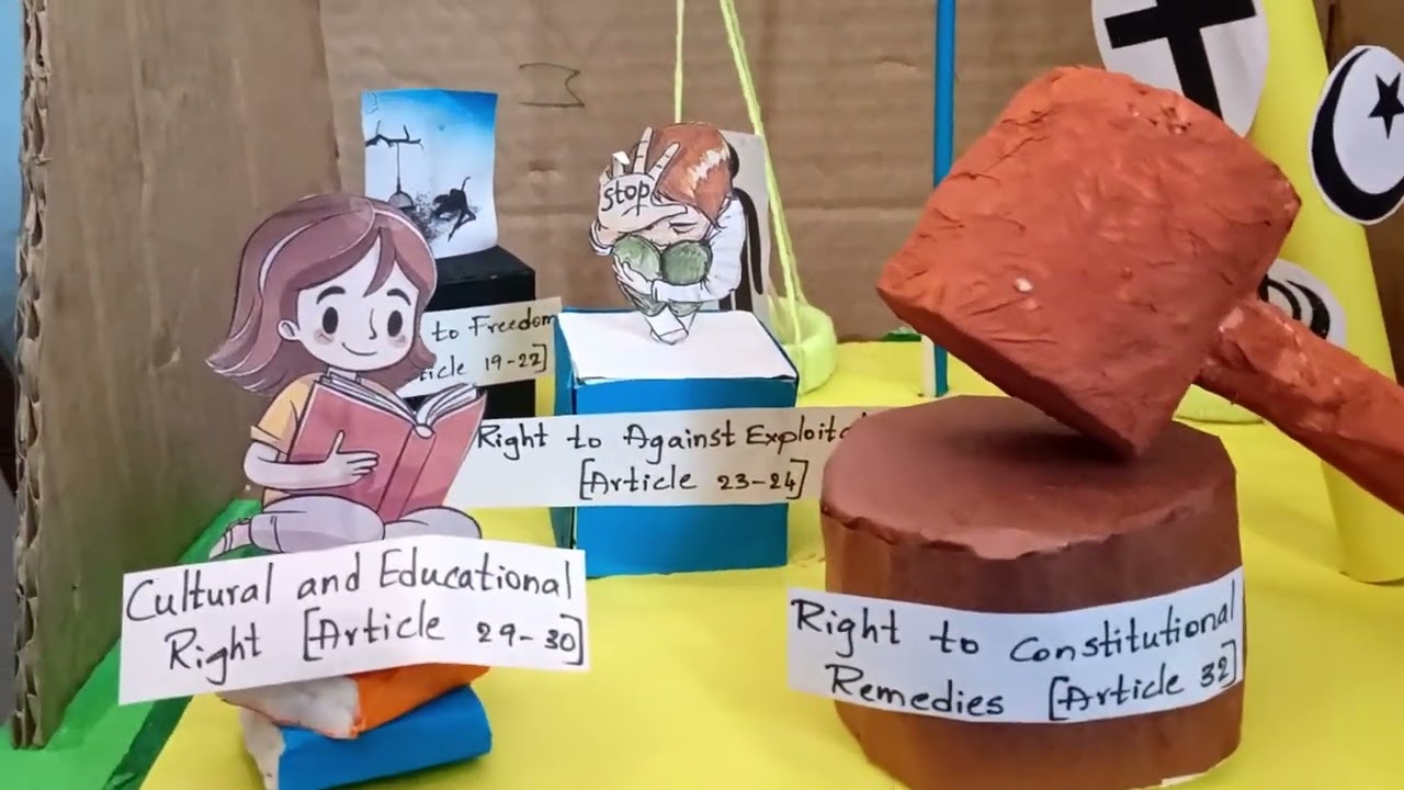 Rights of india model project