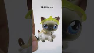 LPS Rare Shorthair Cat #shorts