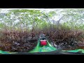 Mangrove Ecosystems Quiz