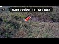 Garrote ferido q se escondeu na grota! - Parte 1