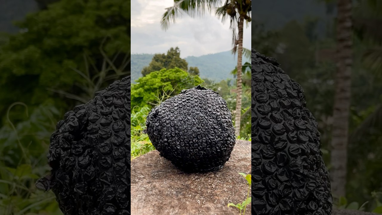 Let’s Open❗️How Amazing This Coconut😱 