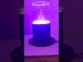 RGB gate light#sorts #led #led