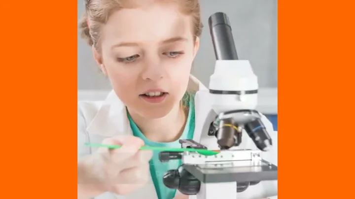 Микроскоп Rainbow 50L