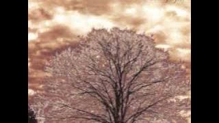 Peter Cetera - Perfect World