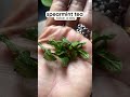 Get rid of unwanted facial hair || PCOS/PCOD || #ytshorts #facialhairremovalforwomen #pcos #pcod