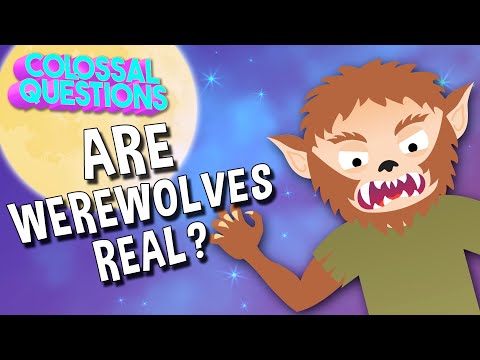 Are Werewolves Real? | COLOSSAL QUESTIONS