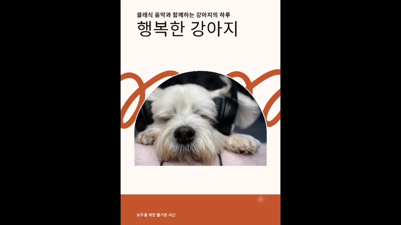 ​[Total Care 🛡️] 3 Hours Calm Music to Stop Barking Instantly 🐶 | 강아지 분리불안 짖음방지 외출