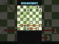 CHECKMATE | Chess Checkmates