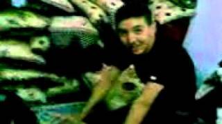             تلات نوامان          سمعها