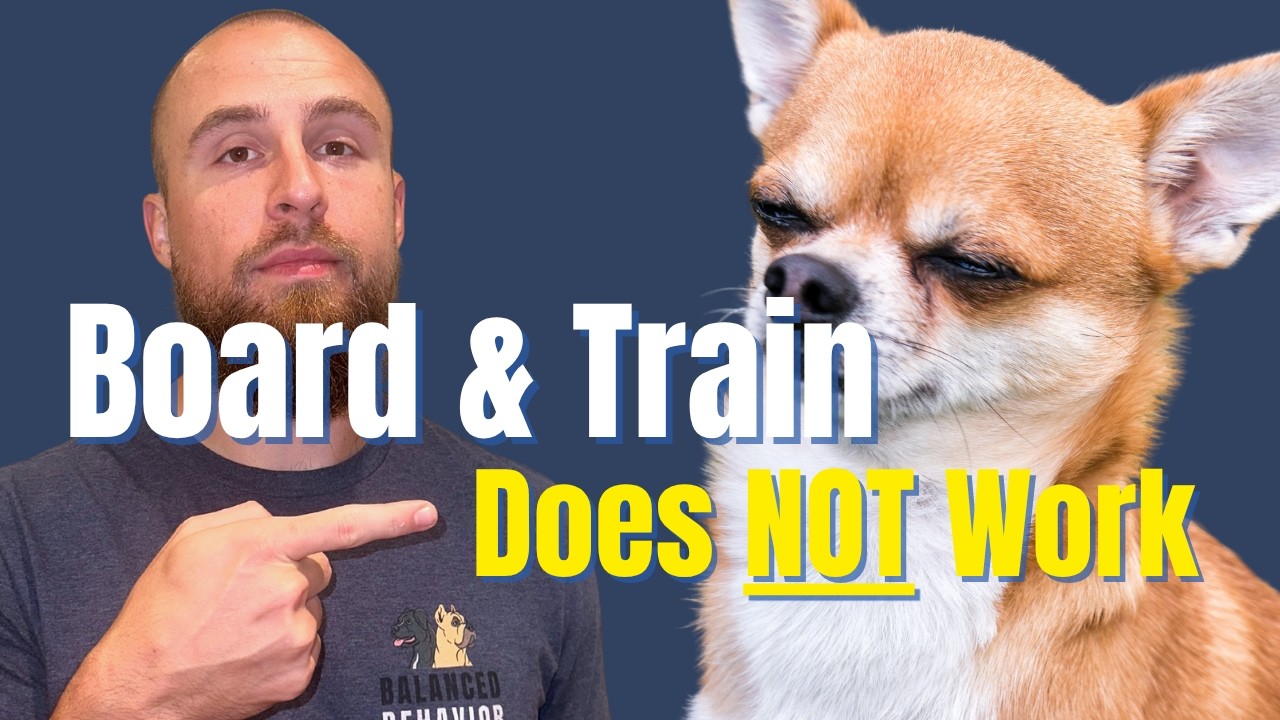 Do Board & Trains actually WORK? - YouTube