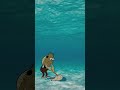 Spongebob mopping wallpaper