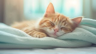 Music for Nervous Cats  Soothing Sleep Music, Deep Relaxation Music For Your Pet