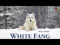 White Fang - Audiobook by Jack London
