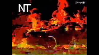 Cat.2012.avi