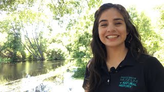 Bug Out with Bree! Dragonfly or Damselfly