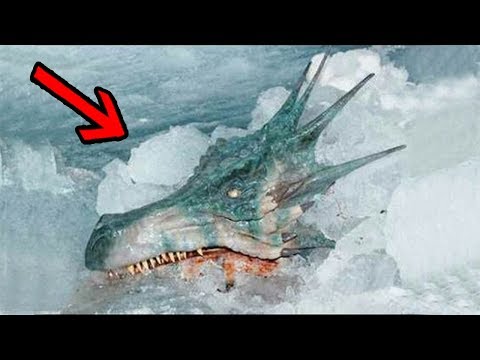 Video: Dragón Marino Prehistórico Encontrado En La Costa De Inglaterra